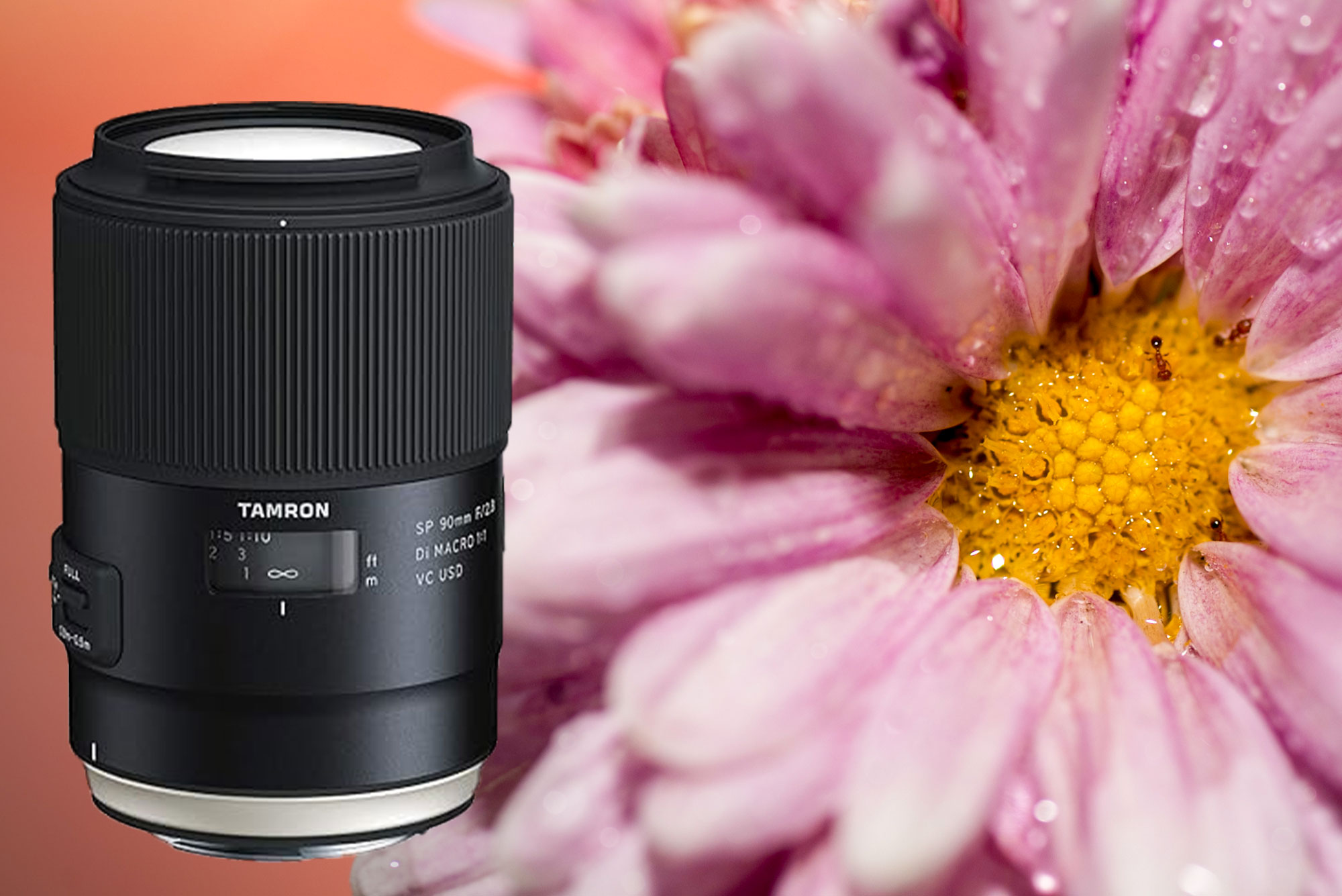 Unveiling the Magic of Tamron 90mm Macro Lens: A Closer Look at Its Spectacular Specifications