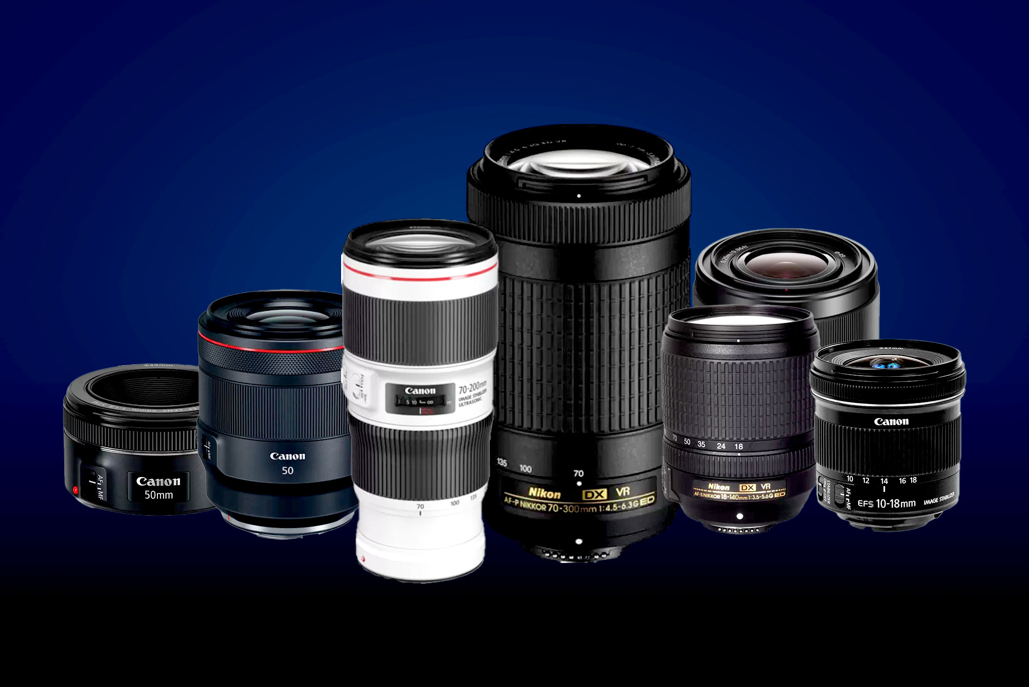 Wildlife Photography Essentials: The Top 10 Lenses You Need in Your Collection